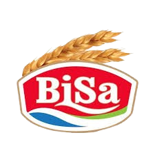 Bisa